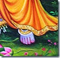 [Krishna's lotus feet]