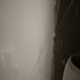 R0028306.JPG
