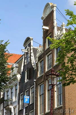 IMG_7222 IMG_7222