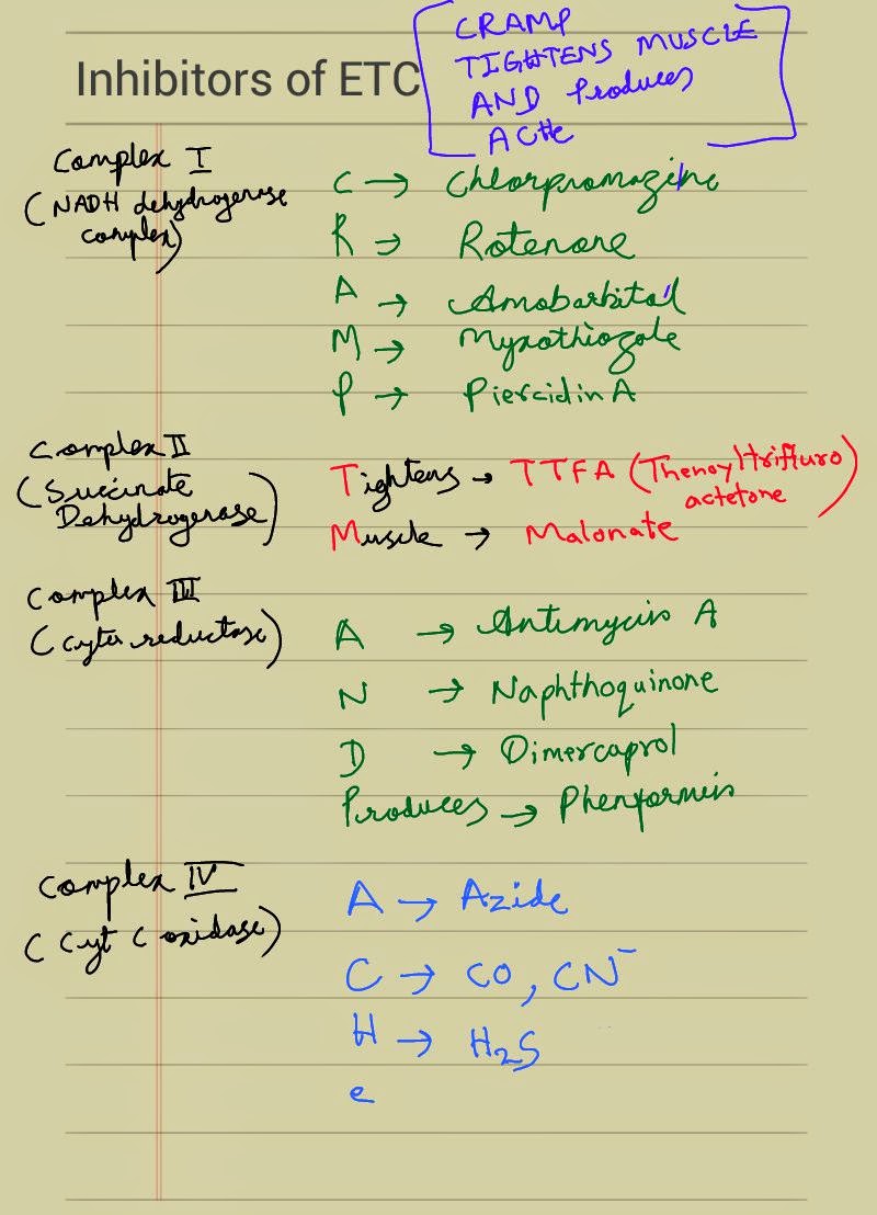 Medicowesome Submissions Inhibitors of electron transport chain mnemonic