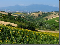 monteprandone-marche