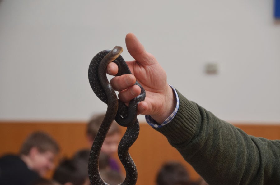 Schlangenschau_05.jpg