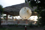 DSC07229.JPG