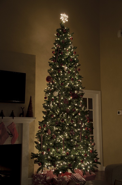 [Night%2520Xmas%2520027%255B4%255D.jpg]