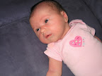 IMG_1926.jpg