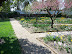 Mt Vernon in Spring