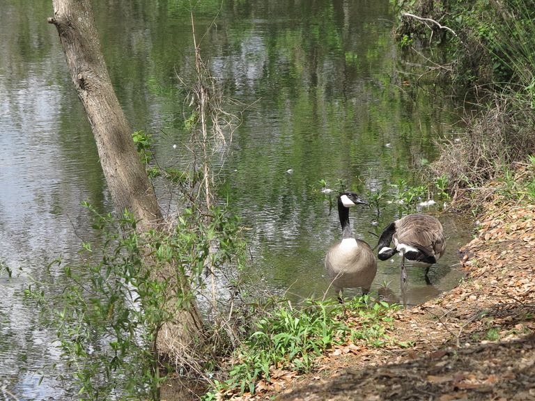 [Short%2520Walk%2520gb120314%2520-%2520017%255B4%255D.jpg]