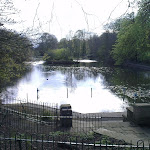 IMAG0038.jpg