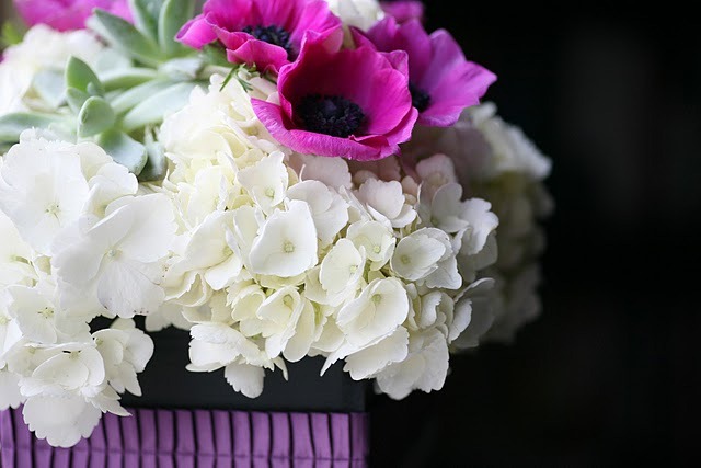 [fleurology-and-diana-marie-photograp%255B1%255D.jpg]