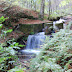 DSC_2590.JPG