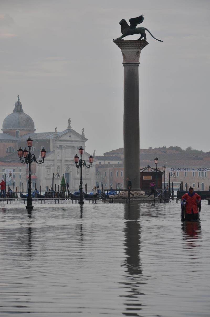 DSC_2221.jpg DSC 2221