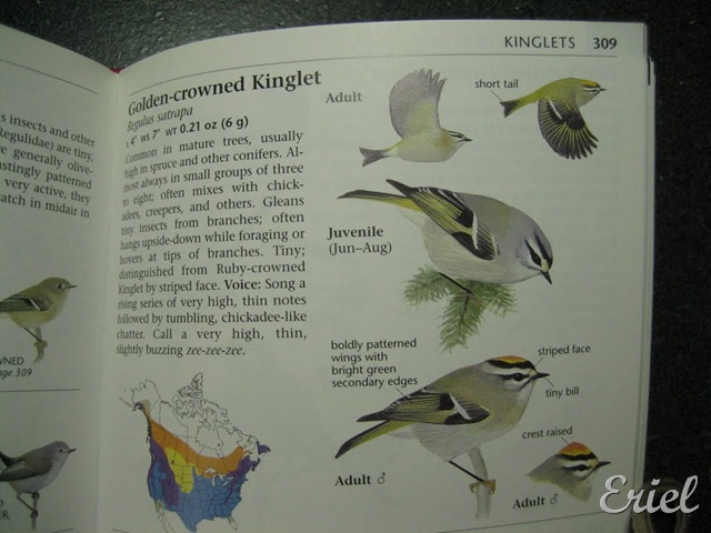 [gG%2520076%255B7%255D.jpg]