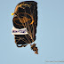 DSC_0464 (725x566) (725x566).jpg