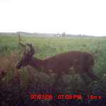 MDGC0100.JPG