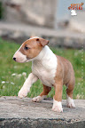 Karmacoma Suntoucher 7 weeks