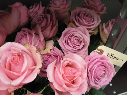 Gorgeous! These are called 