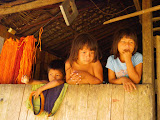 Niños waunan Niños waunan