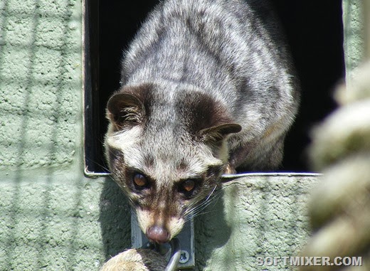 [clip_image005%5B7%5D.jpg]