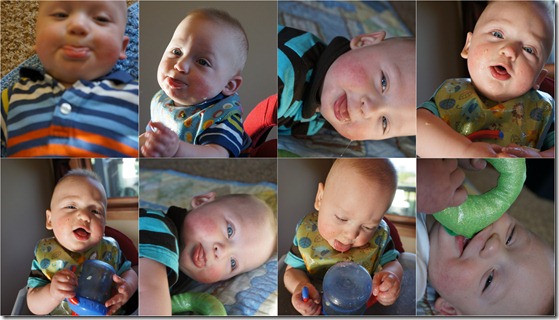 9 month spitting collage