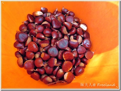 chestnut8 chestnut8