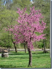 IMG_5060 IMG_5060