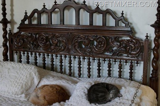 [7108a4a8d296994a79daa98424b_prev%5B7%5D.jpg]