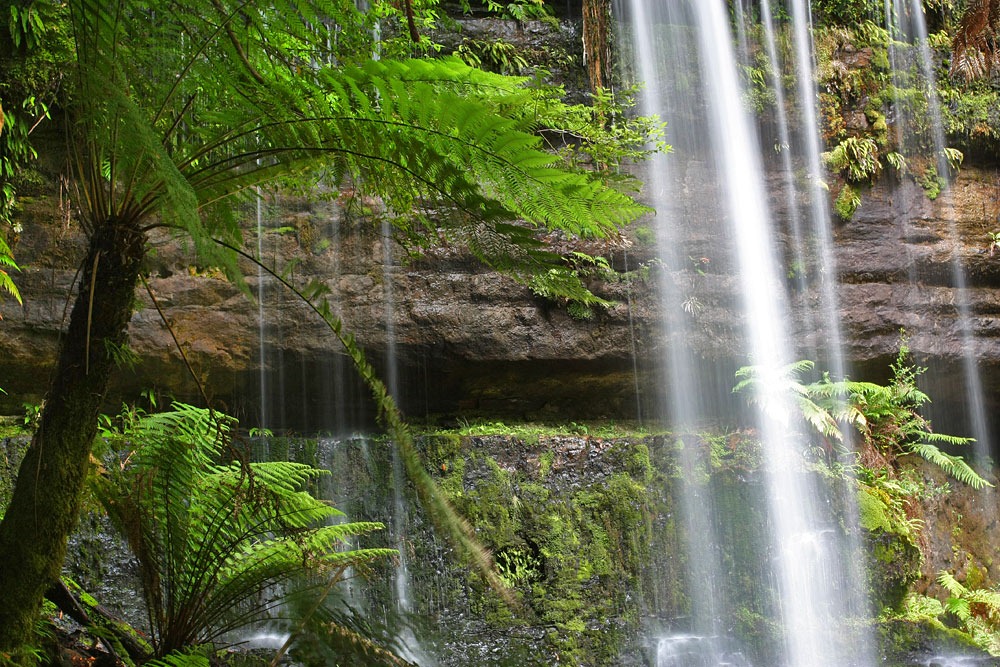 [100103_Mt-Field-National-Park-Tasman%255B3%255D.jpg]