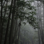 IMG_2892-1.jpg