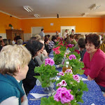 IMGP7435.jpg