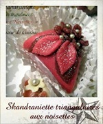 skandraniette triangulaires