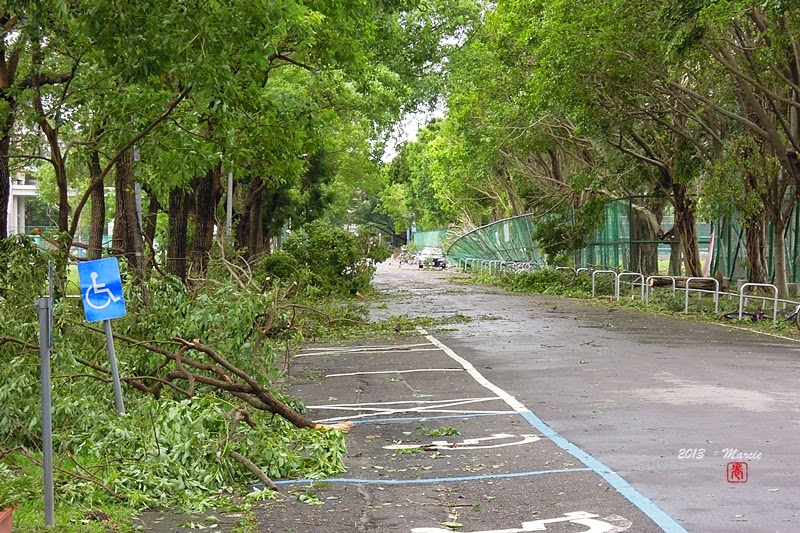 台灣 台北 蘇力颱風 日出 日落