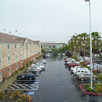 P1000733.JPG