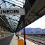 On The Platform - Dunedin, New Zealand