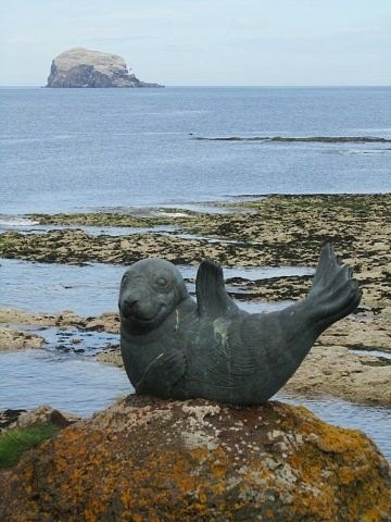 [sandytheseal3.jpg]