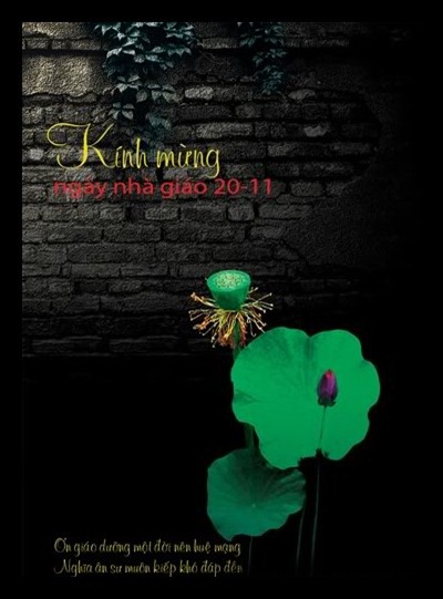 thiep-mung-ngay-giao-viet-nam-20-11 (11)