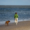 _MG_6518.jpg