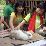 What to buy at The Sila's Agrotourism - Bali