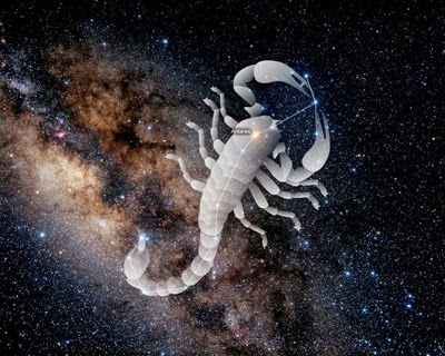 scorpius_01 scorpius_01