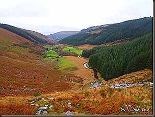 P1120441 P1120441
