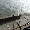 dsc03248.jpg