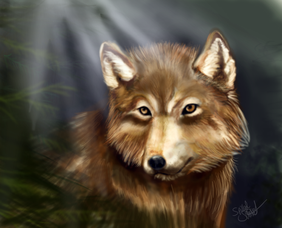 [Jacob-Black-71.png]