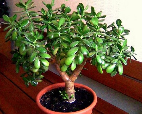 [1326618153___________________%255B5%255D.jpg]