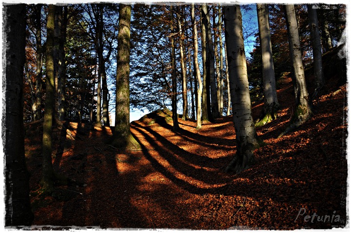 Himmelsk # 57