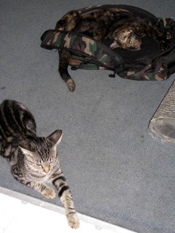 [IMG_00015.jpg]