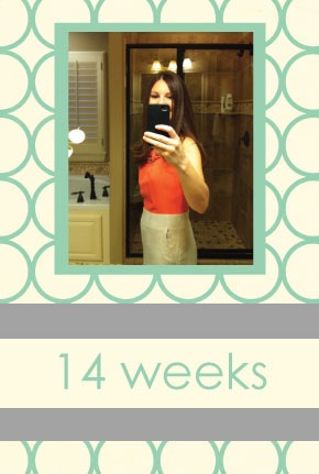 [14-weeks%255B4%255D.jpg]
