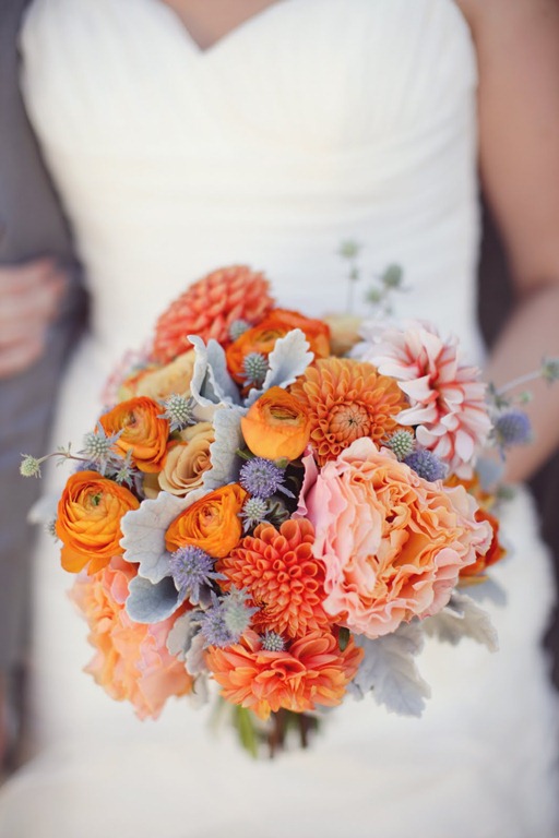 [BKP_0228-flowerwild-and-amorology5.jpg]