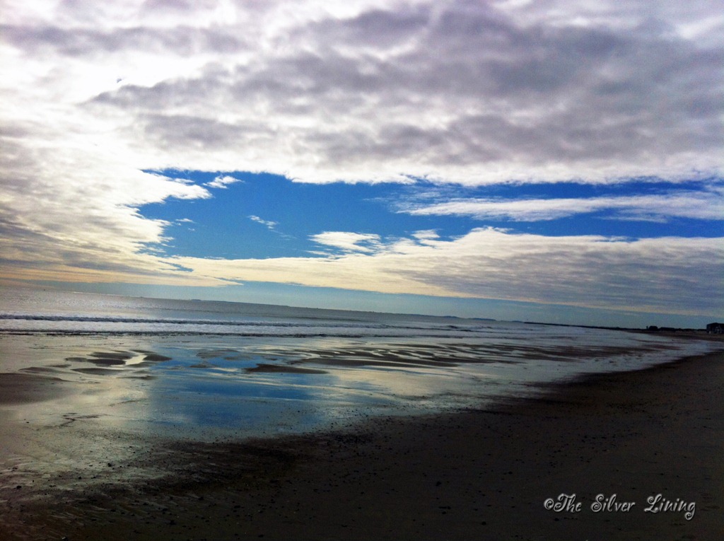 [East%2520Coast%252010-11%255B4%255D.jpg]