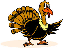 Turkey Turkey