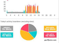 Fitbit Dashboard.jpg Photo Fitbit Dashboard.jpg Photo
