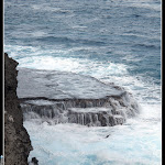 IMG_8866.JPG